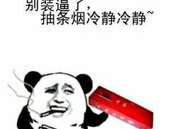 搞笑全是字的视频