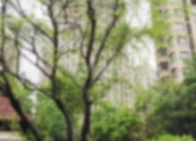 叶子城个人资料,探寻都市绿意盎然的生态生活家