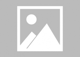 人情至味是清欢演员表,演员阵容揭秘，演绎温馨情感故事